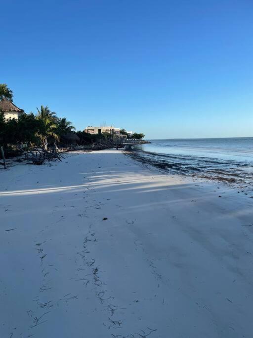 Apartmán Casa Molly Isla Holbox Exteriér fotografie